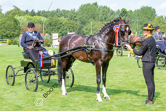 The Prenetics Royal International Horse Show
