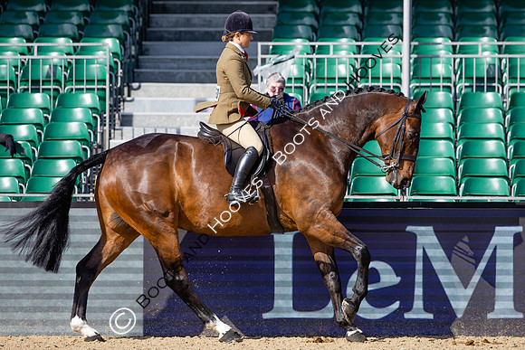 Royal Windsor Horse Show