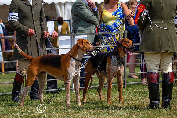 Festival of Hunting