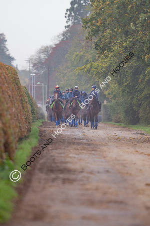 Newmarket