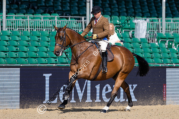 Royal Windsor Horse Show