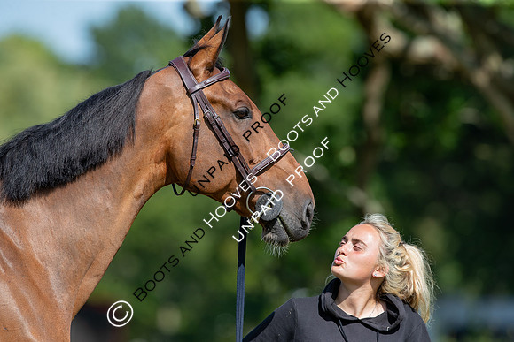 The Al Shira’aa Hickstead Derby Meeting