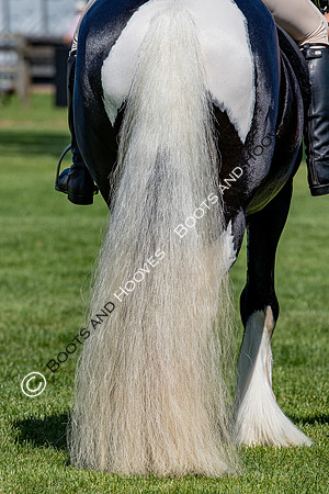 The Prenetics Royal International Horse Show