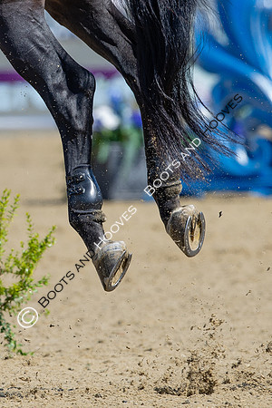 Royal Windsor Horse Show