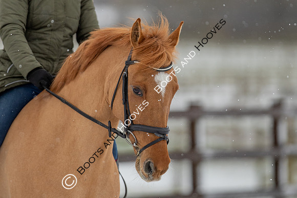 Snow Day