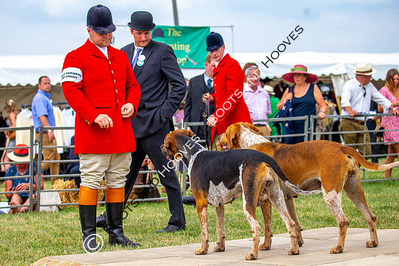 Festival of Hunting