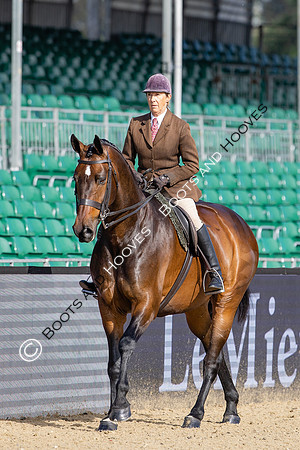Royal Windsor Horse Show