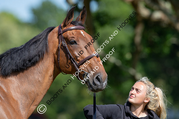 The Al Shira’aa Hickstead Derby Meeting