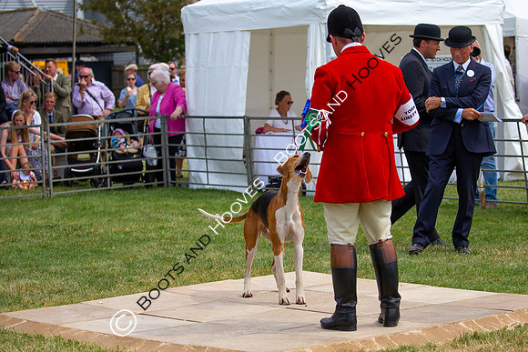 Festival of Hunting