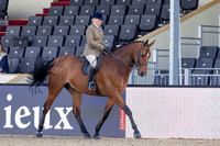 Royal Windsor Horse Show