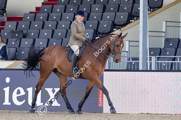 Royal Windsor Horse Show