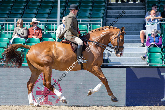 Royal Windsor Horse Show