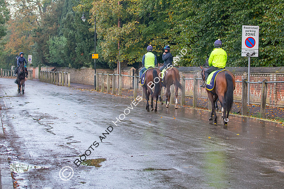 Newmarket