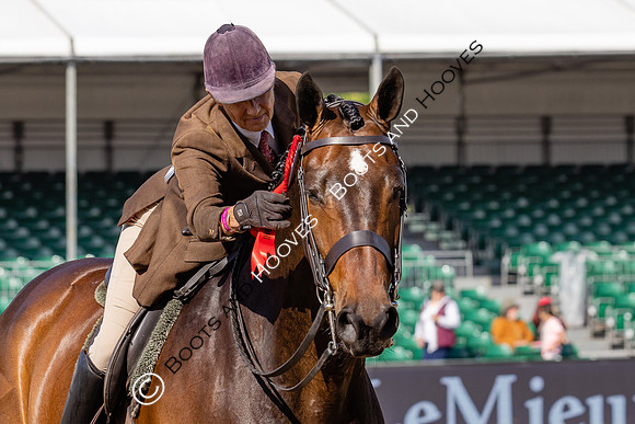 Royal Windsor Horse Show
