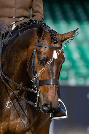 Royal Windsor Horse Show