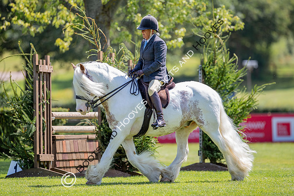 The Prenetics Royal International Horse Show