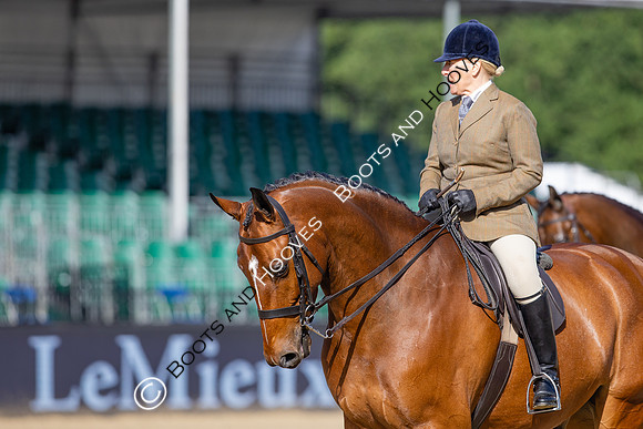 Royal Windsor Horse Show