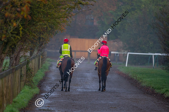 Newmarket