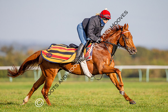 Newmarket