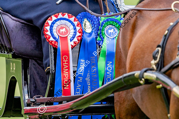 The Prenetics Royal International Horse Show