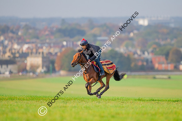Newmarket