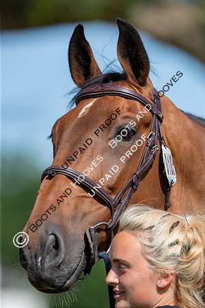 The Al Shira’aa Hickstead Derby Meetin