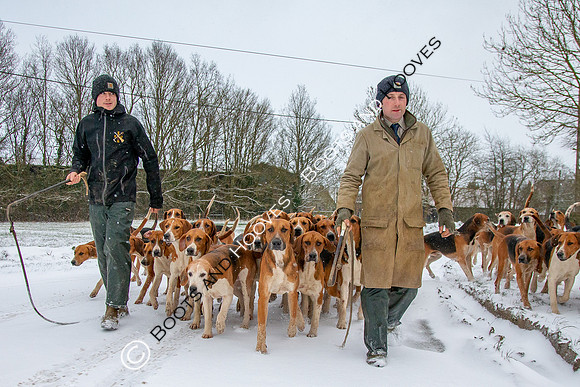 Hound Exercise