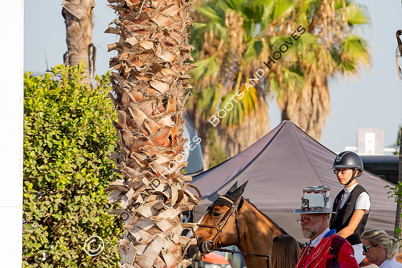 FEI Junior European Championship Young Riders, Juniors & Childre