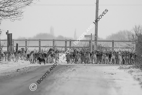 Hound Exercise