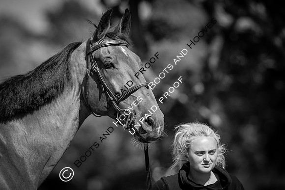 The Al Shira’aa Hickstead Derby Meeting