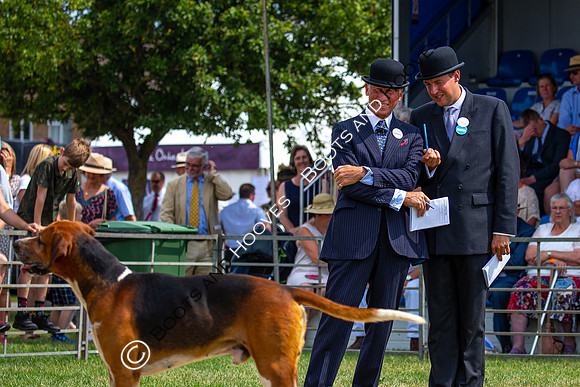 Festival of Hunting