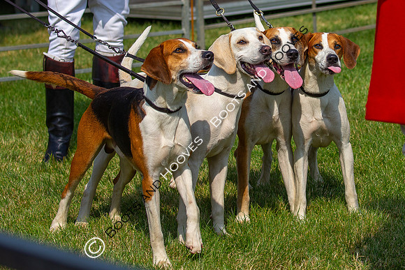 Festival of Hunting