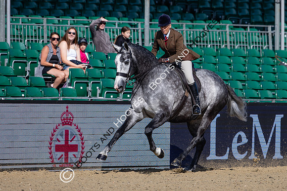 Royal Windsor Horse Show