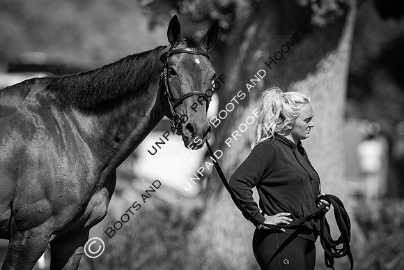 The Al Shira’aa Hickstead Derby Meeting