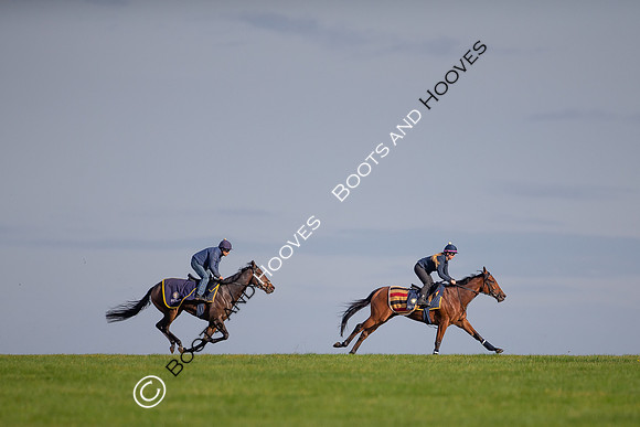 Newmarket