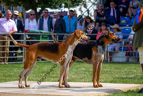 Festival of Hunting