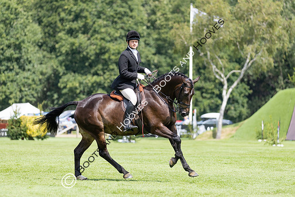 The Agria Royal International Horse Show