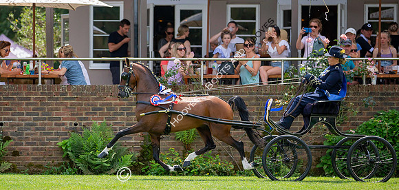 The Prenetics Royal International Horse Show