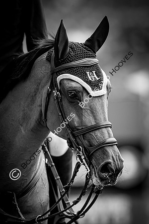 CHIO Aachen World Equestrian Festival