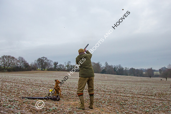 Dines Hall Game Shoot. 23/01/2019 ~ MANDATORY Credit Nick Gunn/Bootsandhooves - NO UNAUTHORISED USE - 07745 909676