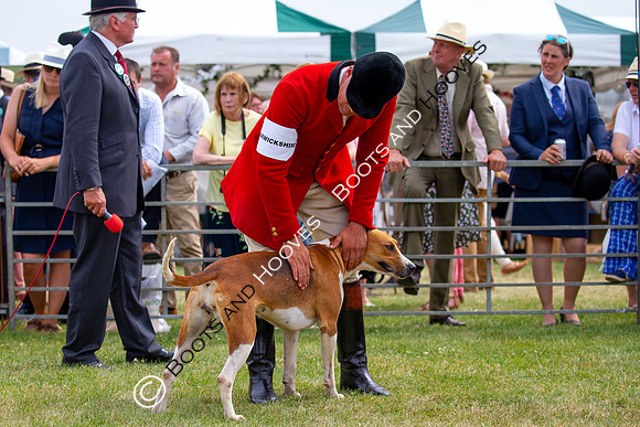 Festival of Hunting