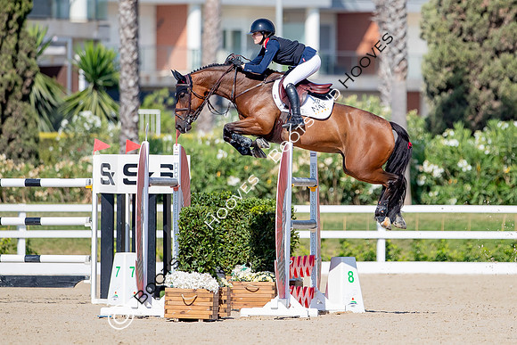 FEI Junior European Championship Young Riders, Juniors & Childre