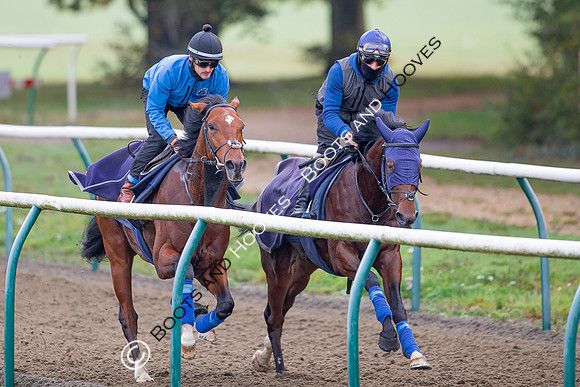 Newmarket