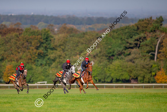 Newmarket