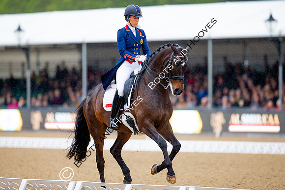 Royal Windsor Horse Show