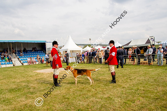 Festival of Hunting