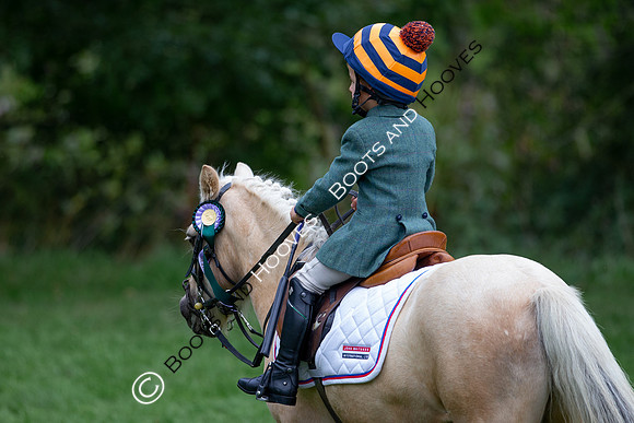 Science Supplements All England Jumping Championships