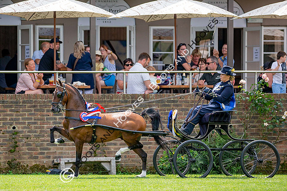 The Prenetics Royal International Horse Show