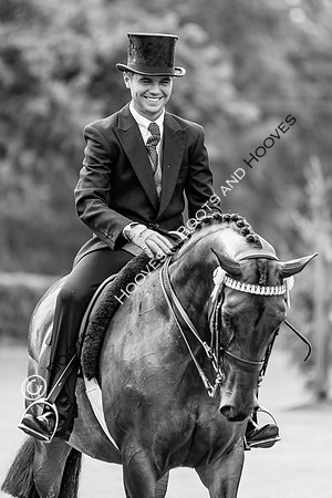 The Royal International Horse Show