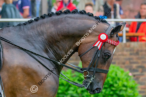The Prenetics Royal International Horse Show